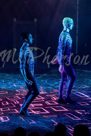 PIPPIN_238