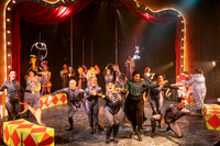 PIPPIN_003