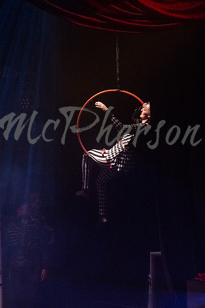 PIPPIN_208