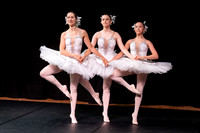 Swans