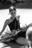 BBC_Magic_Tree-795