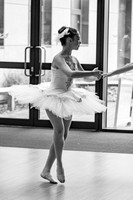 BBC_Magic_Tree-409