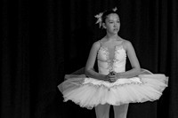 BBC_Magic_Tree-415
