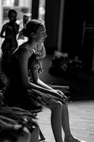 BBC_Magic_Tree-794