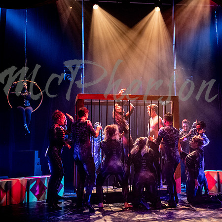PIPPIN_032