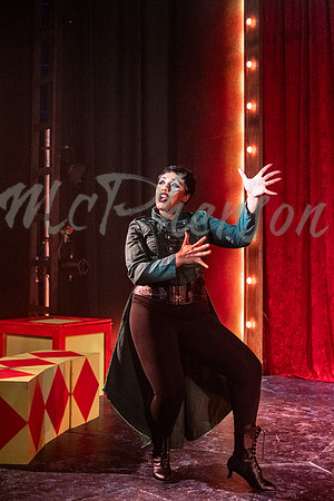 PIPPIN_036