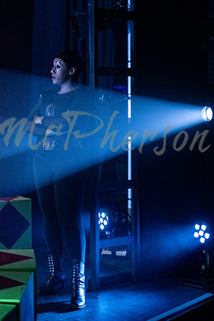PIPPIN_085
