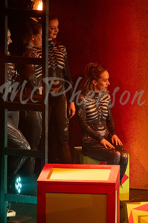 PIPPIN_211