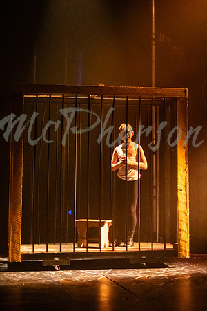 PIPPIN_168