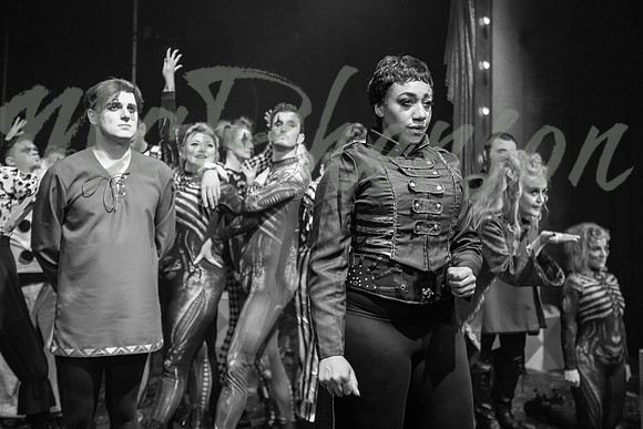 PIPPIN_010